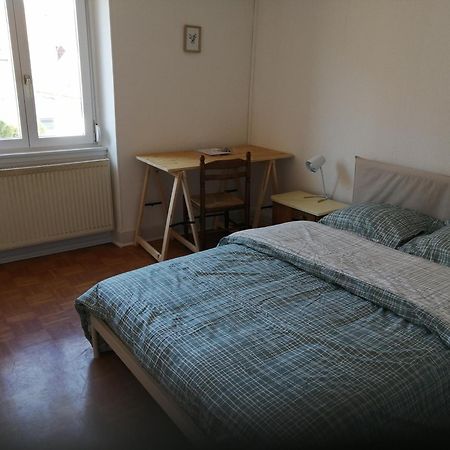 Appartement Entier, Proche Tram-Train Et Commodites, Parking Gratuit Mulhouse Exterior photo