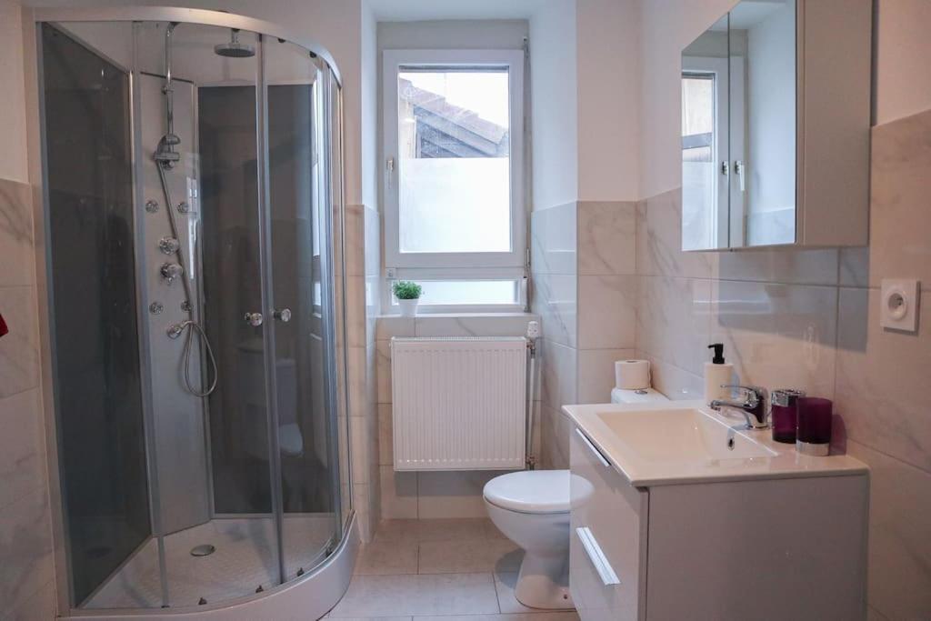 Appartement Entier, Proche Tram-Train Et Commodites, Parking Gratuit Mulhouse Exterior photo